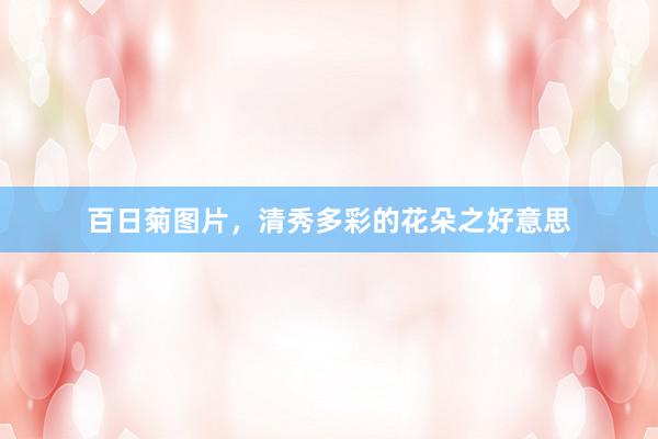 百日菊图片，清秀多彩的花朵之好意思