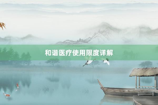 和谐医疗使用限度详解