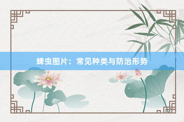 蜱虫图片：常见种类与防治形势