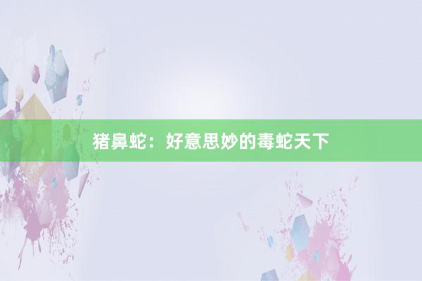 猪鼻蛇：好意思妙的毒蛇天下