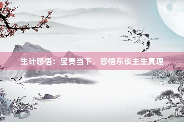 生计感悟：宝贵当下，感悟东谈主生真理
